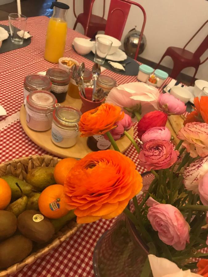B&B - Le Jardin Du Palais カルカソンヌ エクステリア 写真