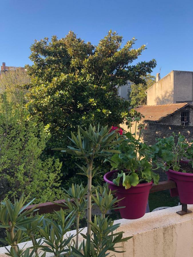 B&B - Le Jardin Du Palais カルカソンヌ エクステリア 写真